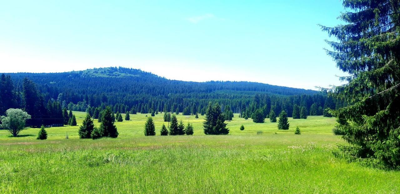 #Apt23 - Apartman 23 - Novohradske Hory Benesov nad Cernou Luaran gambar
